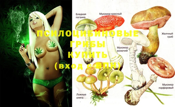 ECSTASY Наволоки