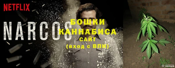 дживик Аша