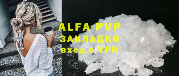 индика Бабаево