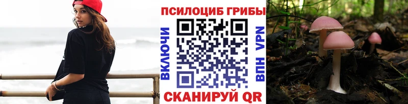 МЕГА зеркало  как найти закладки  Ртищево  Псилоцибиновые грибы прущие грибы 
