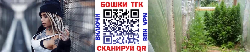 даркнет сайт  Ртищево  кракен зеркало  Марихуана Ganja 